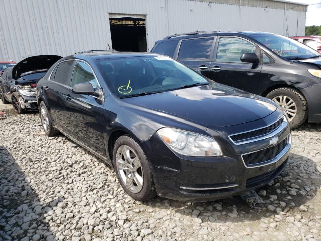 CHEVROLET MALIBU 2010 1g1zc5eb7af296602