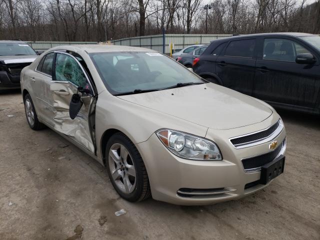 CHEVROLET MALIBU 1LT 2010 1g1zc5eb7af308750