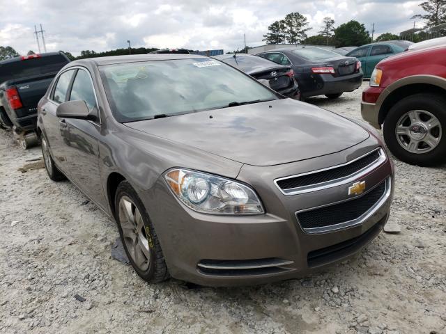 CHEVROLET MALIBU 1LT 2010 1g1zc5eb7af325130