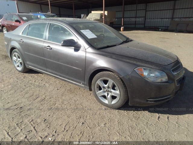 CHEVROLET MALIBU 2010 1g1zc5eb8a4116751