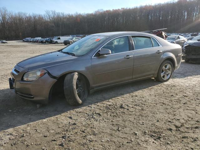 CHEVROLET MALIBU 2010 1g1zc5eb8a4153492