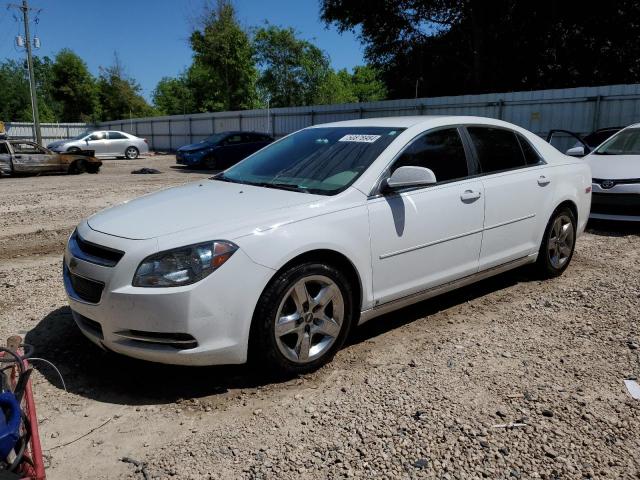 CHEVROLET MALIBU 2010 1g1zc5eb8af116835