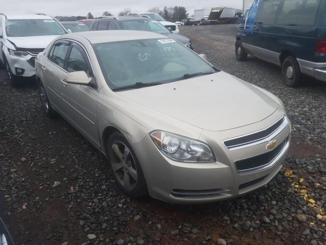 CHEVROLET MALIBU 1LT 2010 1g1zc5eb8af117676