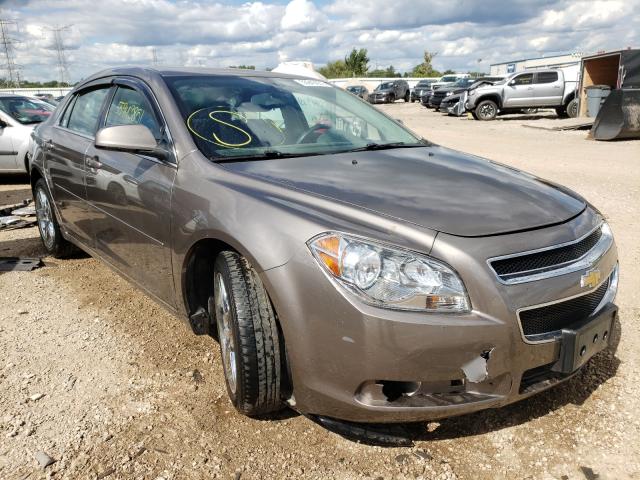 CHEVROLET MALIBU 1LT 2010 1g1zc5eb8af145753