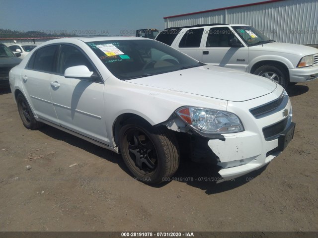 CHEVROLET MALIBU 2010 1g1zc5eb8af173438