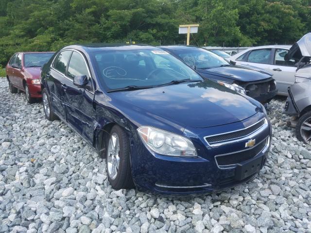 CHEVROLET MALIBU 1LT 2010 1g1zc5eb8af173505