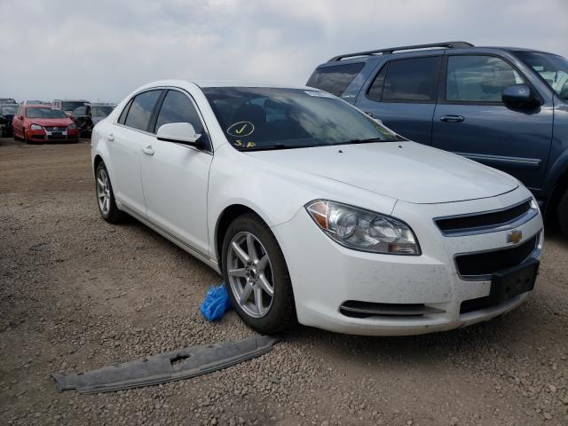 CHEVROLET MALIBU 1LT 2010 1g1zc5eb8af265200