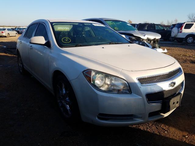 CHEVROLET MALIBU 1LT 2010 1g1zc5eb8af283924