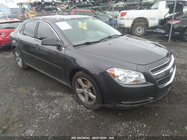 CHEVROLET MALIBU 2010 1g1zc5eb9a4131159