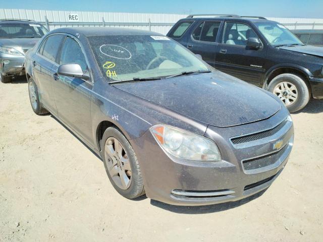 CHEVROLET MALIBU 1LT 2010 1g1zc5eb9a4163853