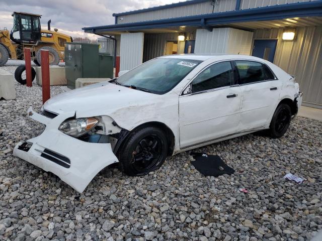 CHEVROLET MALIBU 2010 1g1zc5eb9af146491