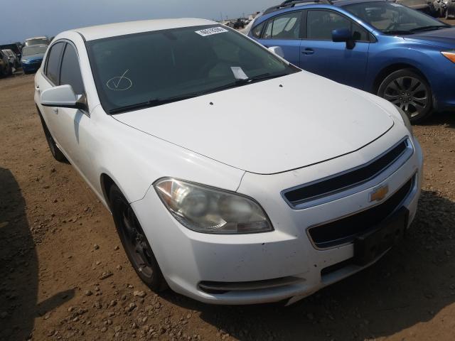 CHEVROLET MALIBU 1LT 2010 1g1zc5eb9af194993