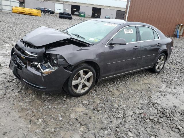 CHEVROLET MALIBU 2010 1g1zc5eb9af214739