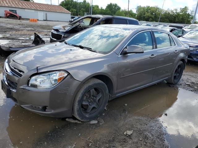 CHEVROLET MALIBU 2010 1g1zc5eb9af227040