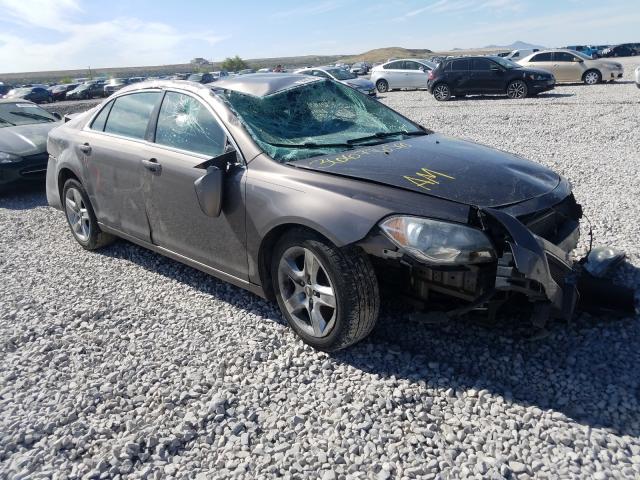 CHEVROLET MALIBU 1LT 2010 1g1zc5eb9af233713