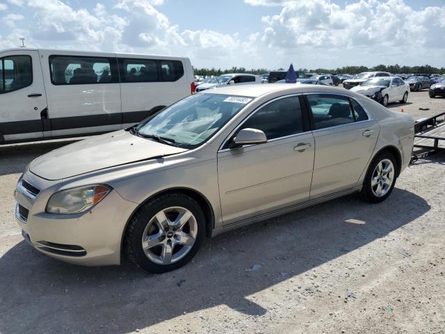 CHEVROLET MALIBU 1LT 2010 1g1zc5eb9af241813