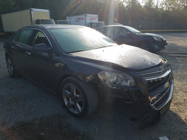 CHEVROLET MALIBU 2010 1g1zc5eb9af251502