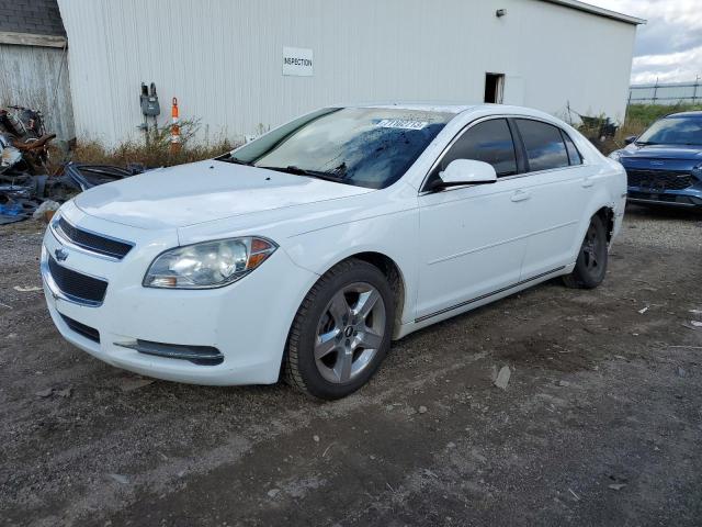 CHEVROLET MALIBU 1LT 2010 1g1zc5eb9af259082