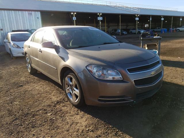 CHEVROLET MALIBU 1LT 2010 1g1zc5eb9af277856