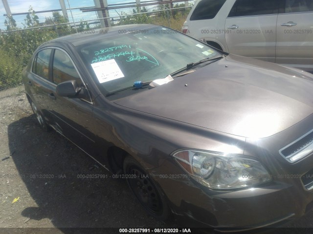 CHEVROLET MALIBU 2010 1g1zc5ebxa4116430