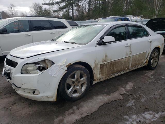 CHEVROLET MALIBU 1LT 2010 1g1zc5ebxaf102760