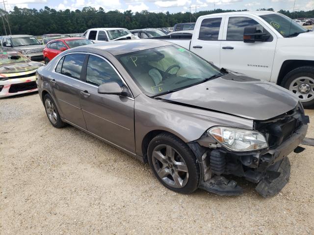 CHEVROLET MALIBU 1LT 2010 1g1zc5ebxaf319371