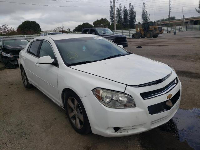 CHEVROLET MALIBU 1LT 2011 1g1zc5eu0bf399900