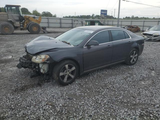 CHEVROLET MALIBU 1LT 2011 1g1zc5eu1bf101564