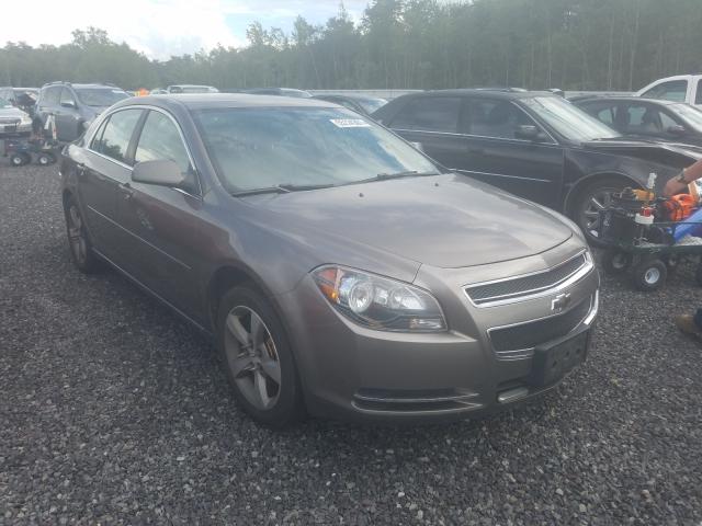 CHEVROLET MALIBU 1LT 2011 1g1zc5eu1bf198281