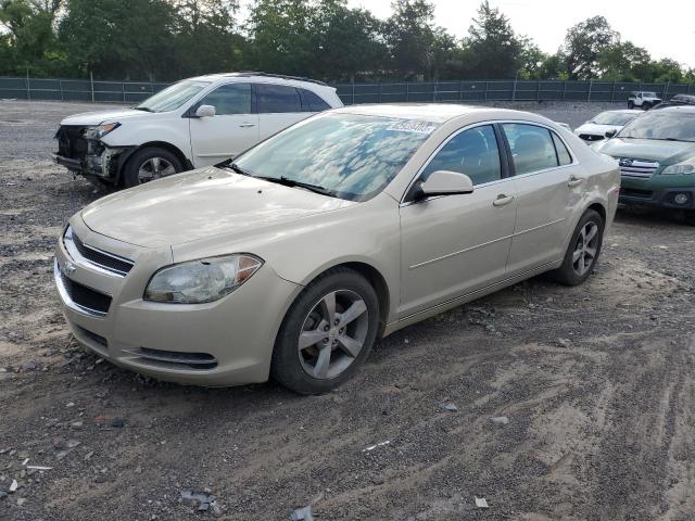 CHEVROLET MALIBU 1LT 2011 1g1zc5eu1bf246829