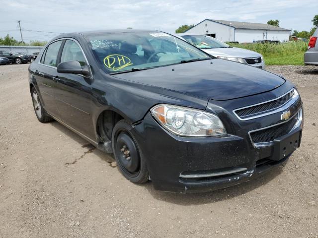 CHEVROLET MALIBU 1LT 2011 1g1zc5eu1bf334411