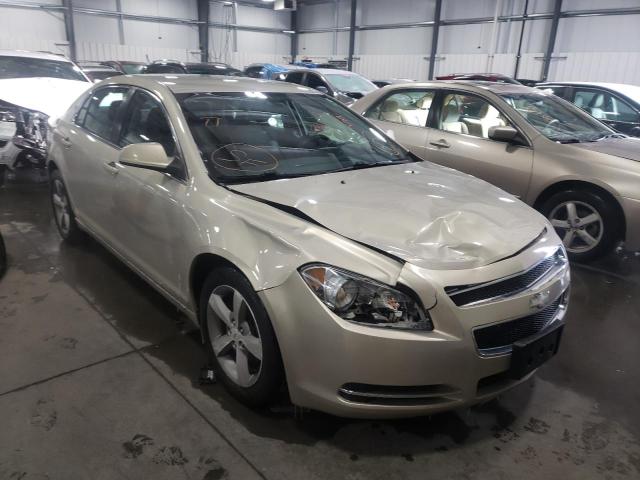 CHEVROLET MALIBU 1LT 2011 1g1zc5eu2bf101962