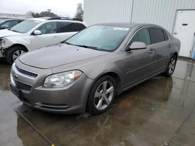 CHEVROLET MALIBU 1LT 2011 1g1zc5eu2bf109009