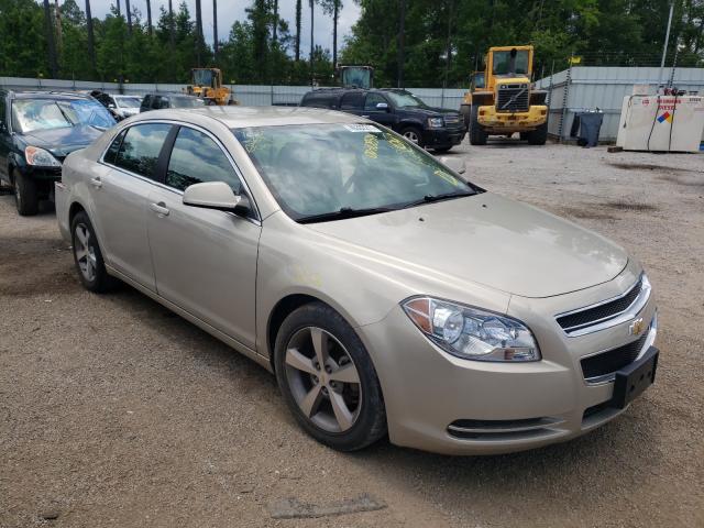 CHEVROLET MALIBU 1LT 2011 1g1zc5eu2bf196894