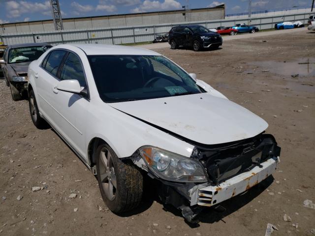 CHEVROLET MALIBU 1LT 2011 1g1zc5eu2bf356188