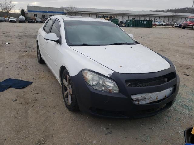 CHEVROLET MALIBU 1LT 2011 1g1zc5eu2bf358653