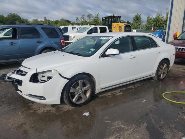 CHEVROLET MALIBU 1LT 2011 1g1zc5eu2bf361942