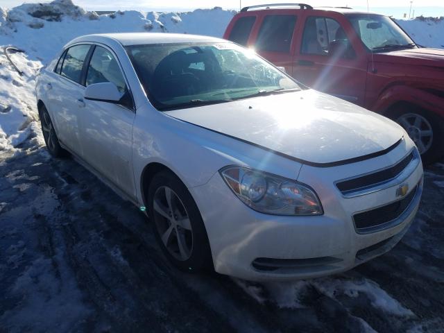 CHEVROLET MALIBU 1LT 2011 1g1zc5eu3bf110542