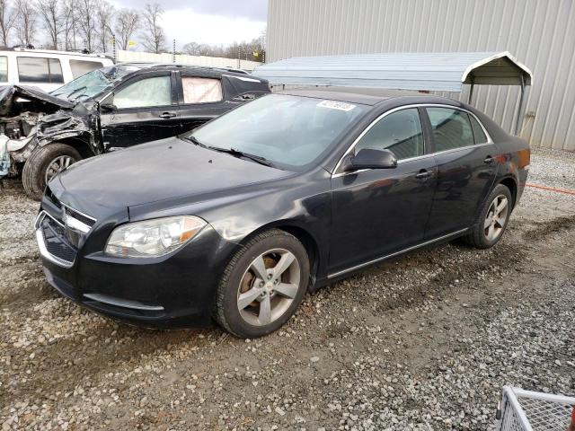 CHEVROLET MALIBU 1LT 2011 1g1zc5eu3bf124604