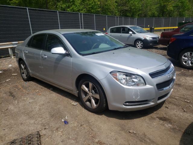 CHEVROLET MALIBU 1LT 2011 1g1zc5eu3bf146666