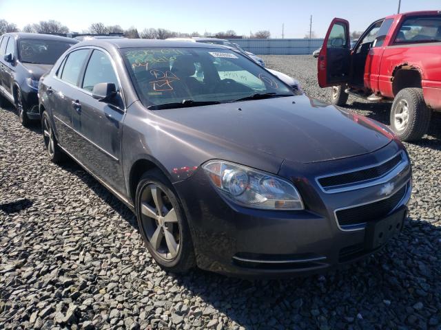 CHEVROLET MALIBU 1LT 2011 1g1zc5eu3bf226338