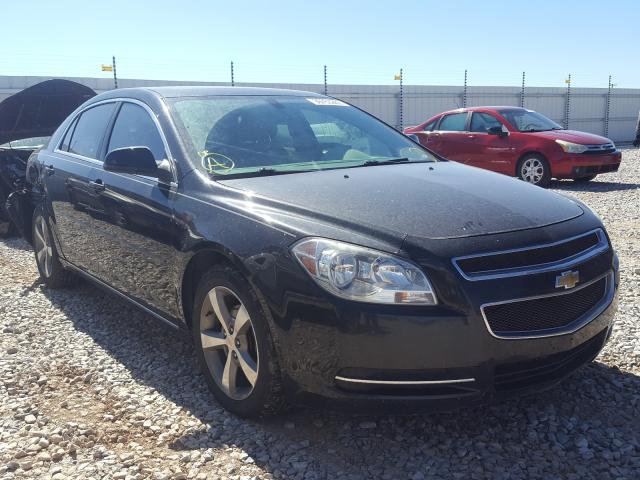 CHEVROLET MALIBU 1LT 2011 1g1zc5eu3bf287883