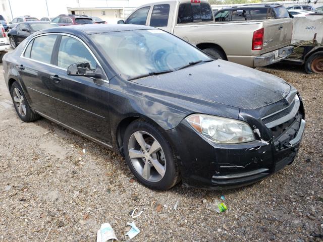 CHEVROLET MALIBU 1LT 2011 1g1zc5eu3bf293666