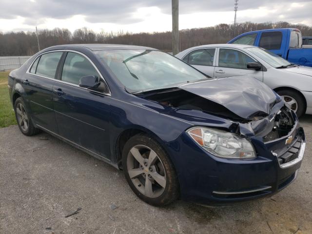 CHEVROLET MALIBU 1LT 2011 1g1zc5eu3bf339464