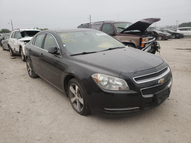 CHEVROLET MALIBU 1LT 2011 1g1zc5eu3bf388342