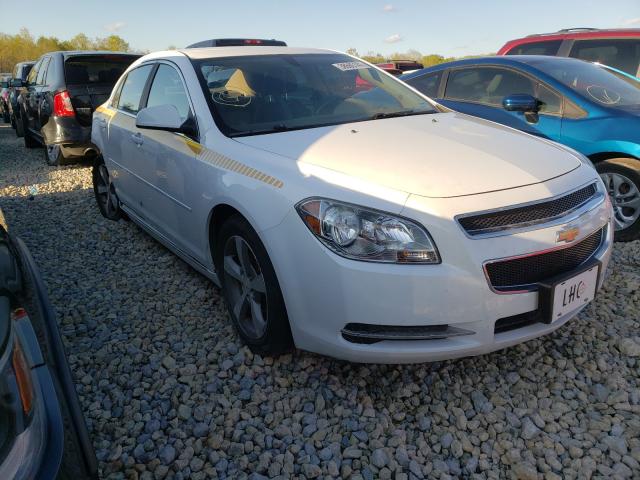 CHEVROLET MALIBU 1LT 2011 1g1zc5eu3bf396005