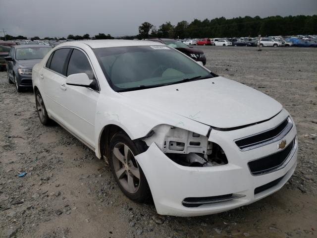 CHEVROLET MALIBU 1LT 2011 1g1zc5eu4bf134932