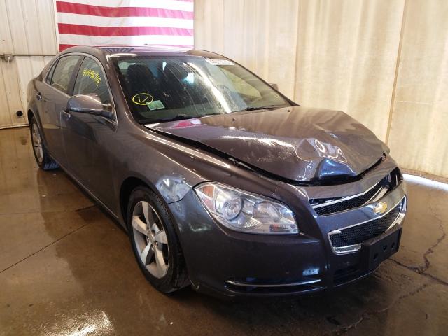 CHEVROLET MALIBU 1LT 2011 1g1zc5eu4bf143744