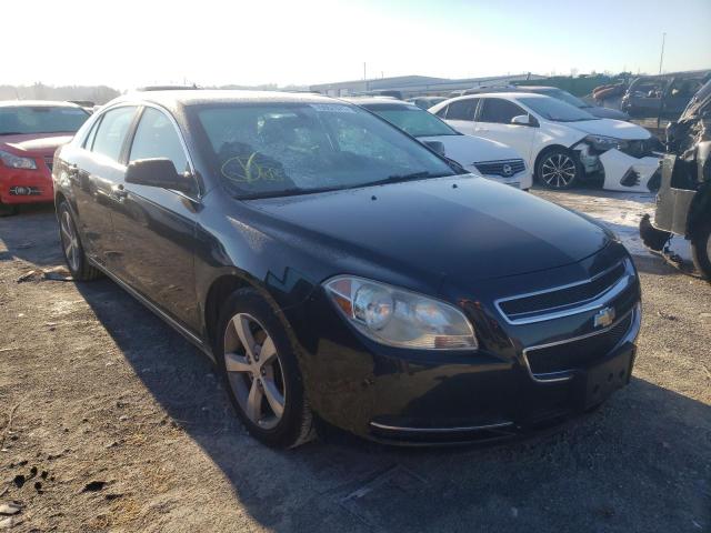 CHEVROLET MALIBU 1LT 2011 1g1zc5eu4bf200475