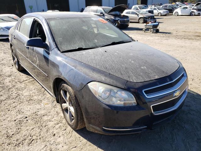 CHEVROLET MALIBU 1LT 2011 1g1zc5eu4bf337366